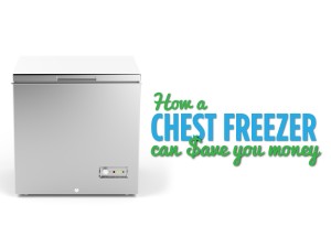 How a Chest Freezer Can Save You Money