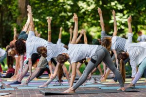 Exercise on a budget park yoga
